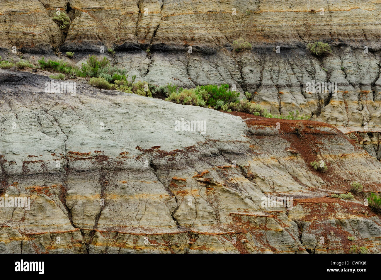 Stark erodiert Bentonit Hügel, Theodore Roosevelt NP (South Unit), North Dakota, USA Stockfoto