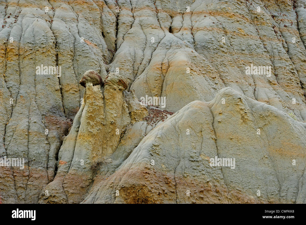 Bentonit-Hügel details zeigen Erosionsrinnen, Theodore Roosevelt NP (South Unit), North Dakota, USA Stockfoto