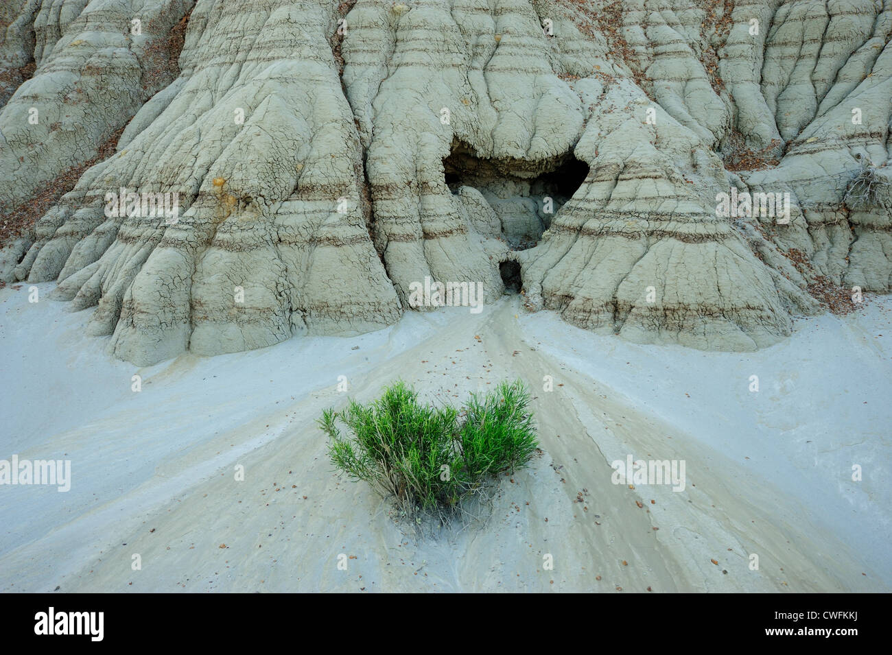 Bentonit-Hügel details zeigen Erosionsrinnen, Theodore Roosevelt NP (South Unit), North Dakota, USA Stockfoto