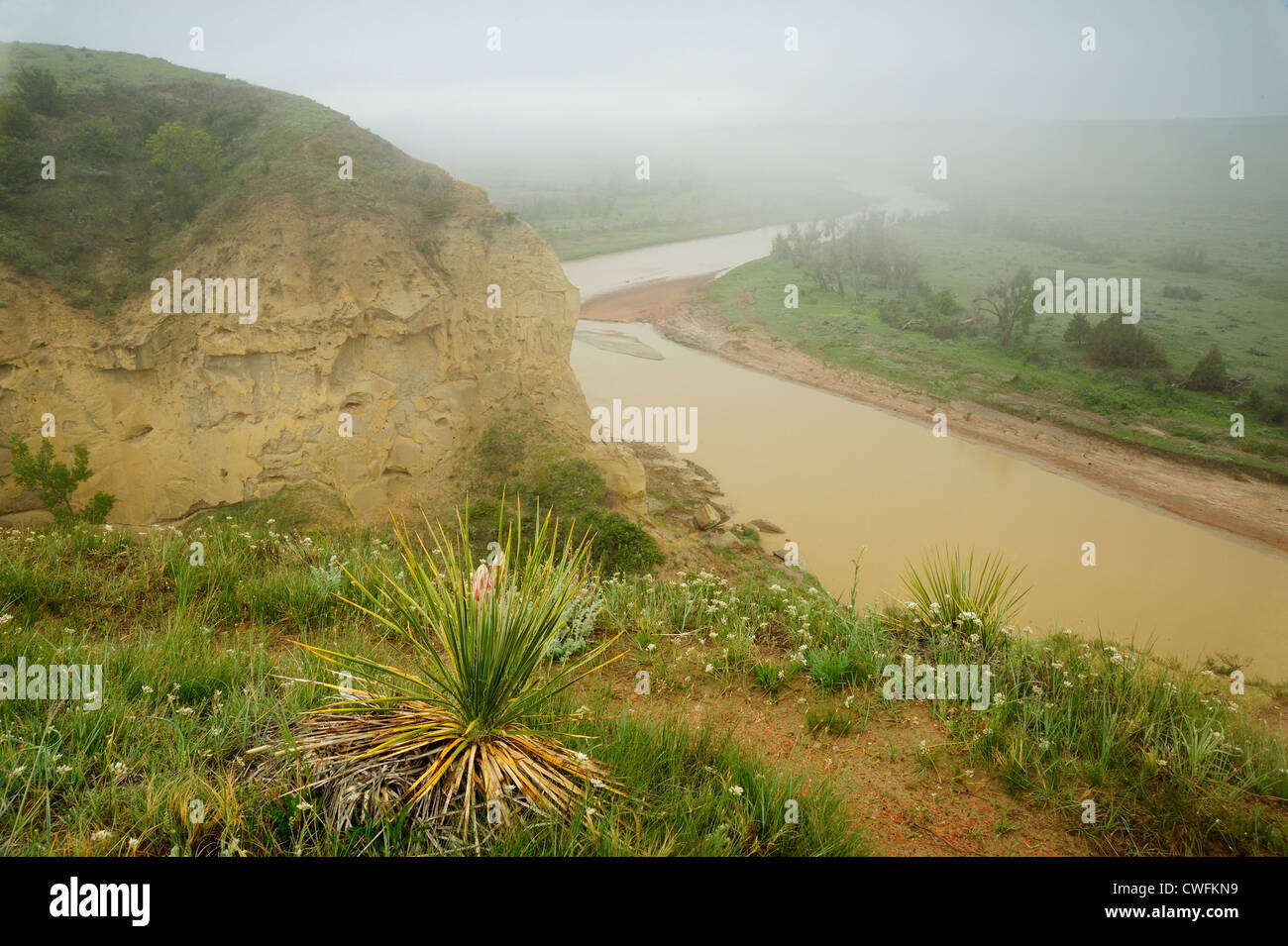 Little Missouri River Valley, Theodore Roosevelt NP (South Unit), North Dakota, USA Stockfoto