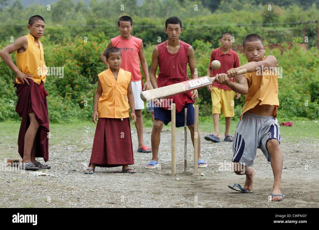 Junge Mönche spielen cricket Stockfoto