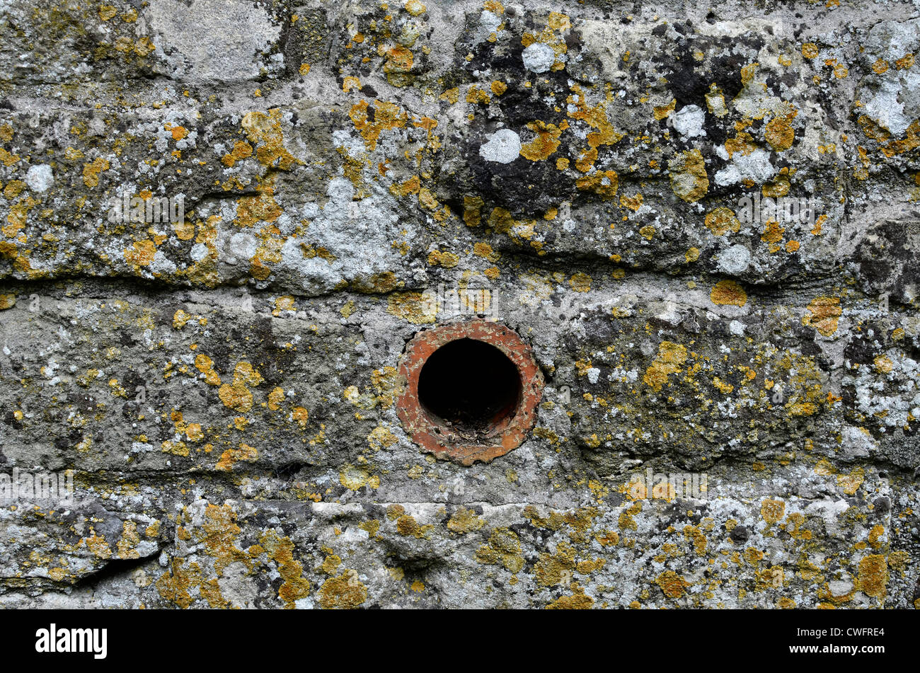 Steingartenwand / Detail verwittertes Mauerwerk mit Flechten - West Wiltshire. Visuelle Allegorie für 'schmale' oder langsame breite Fluchtroute. Stockfoto