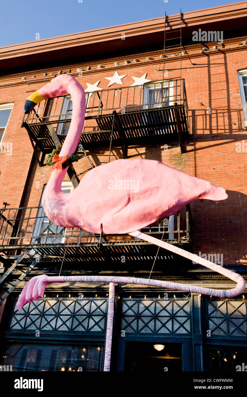 Hampden Nachbarschaft 36th Street rosa Flamingo schmückt Cafe Hon, Baltimore, Maryland Stockfoto