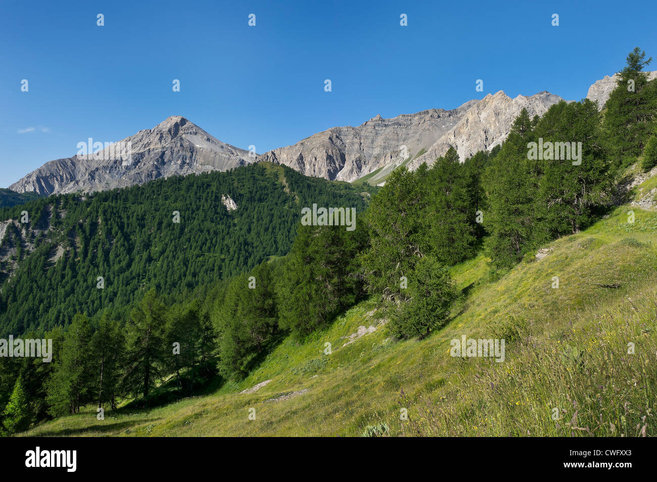 Berglandschaft mit Monte Chaberton, Susa-Tal, Piemont, Italien Stockfoto