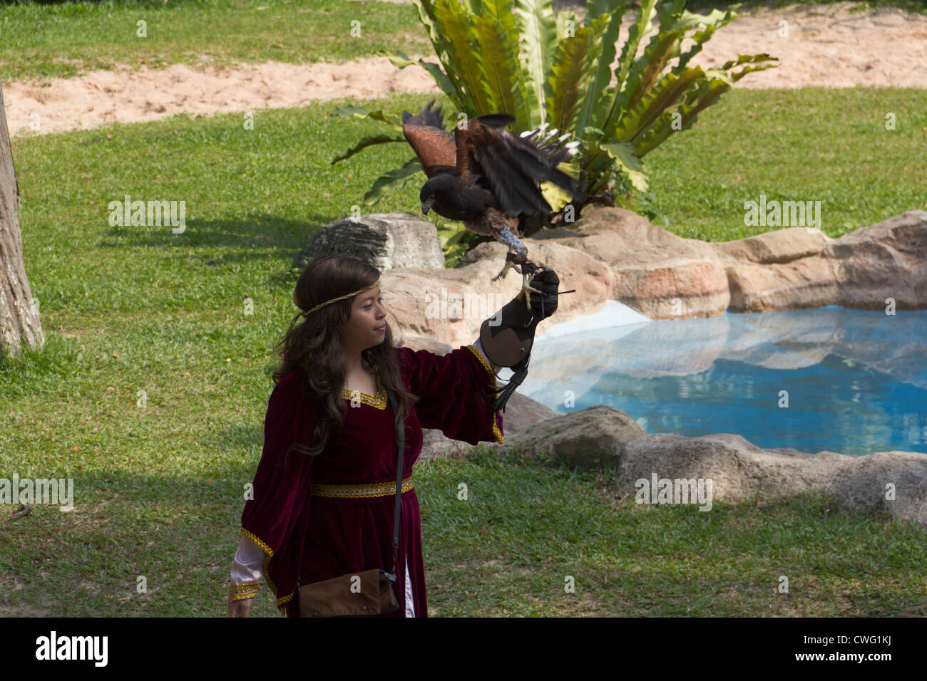Mädchen hält ein Falke bei einer Show in Jurong Bird Park in Singapur. Dies war bei einer Show mit einer Reihe von großen Vögel. Stockfoto