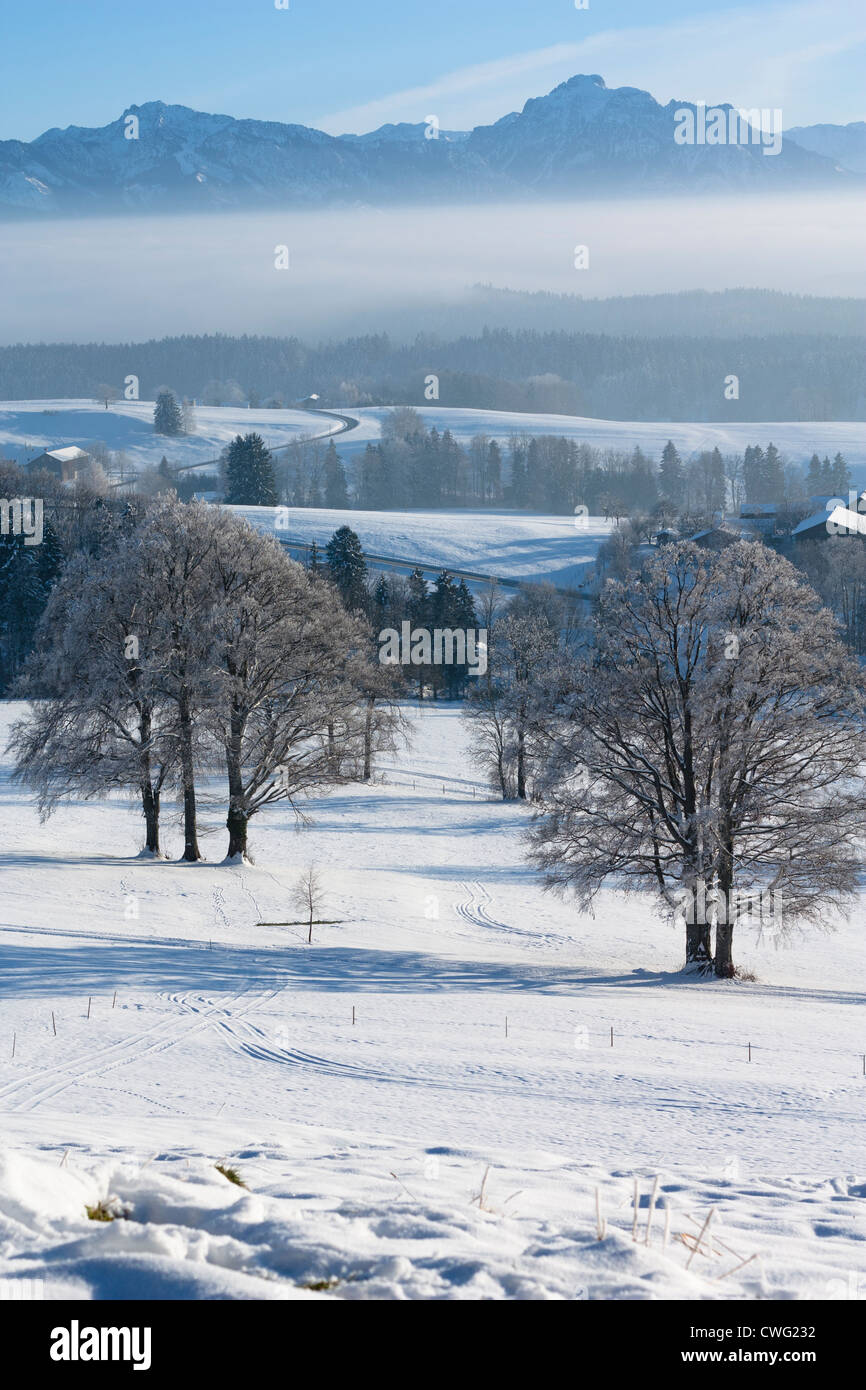 Säuling, Allgäu, Winter, Nebel, Berge, Schee Stockfoto