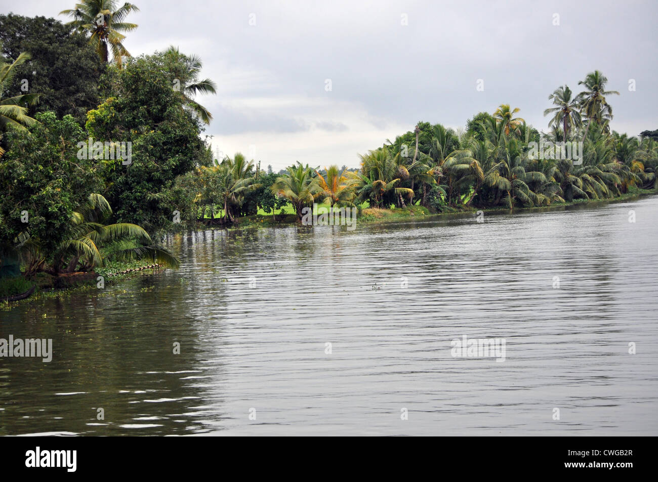 Eine wunderschöne Landschaft von Kerala backwaters Stockfoto