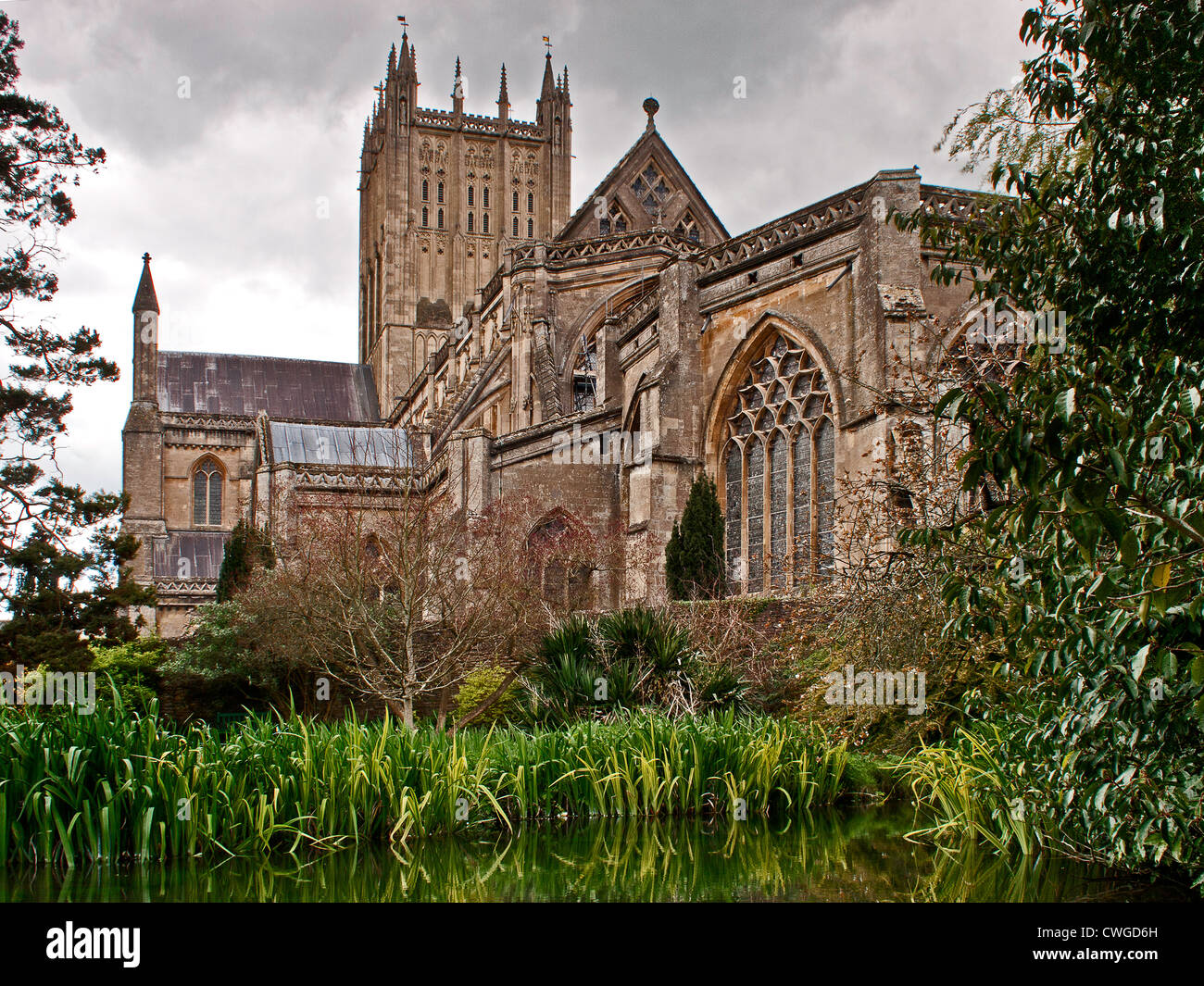 Wells Cathedral,, Wells, Somerset Stockfoto