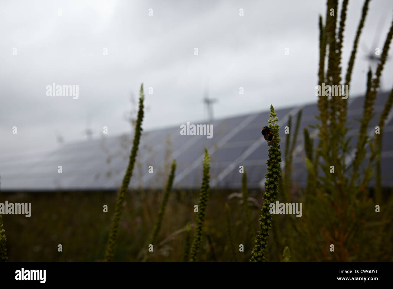 Detail der Solar-Panels auf einem Bauernhof Solarstrom Stockfoto