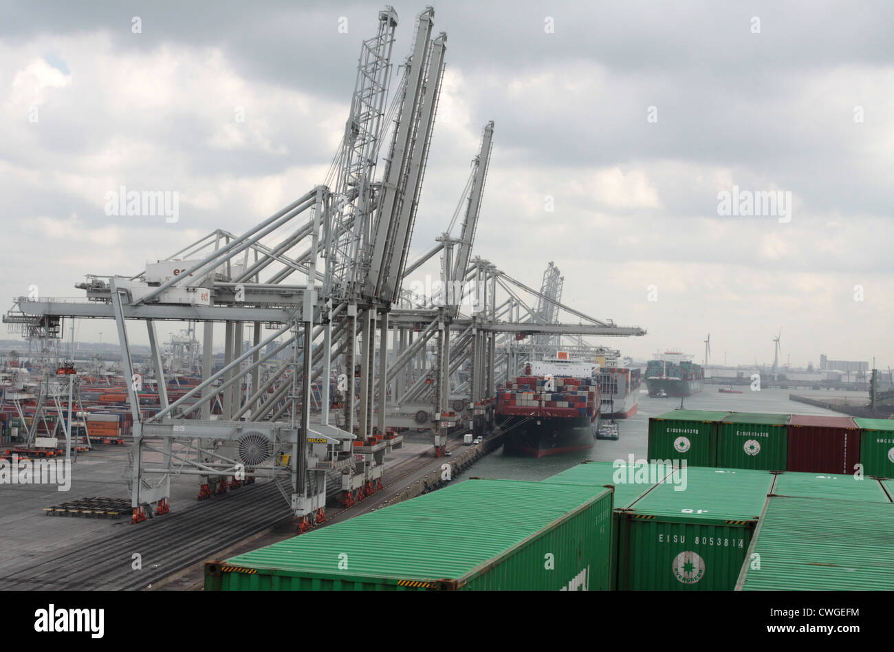 Beschäftigt Dockside Szene im Hafen von Rotterdam Europoort Container Terminal Stockfoto