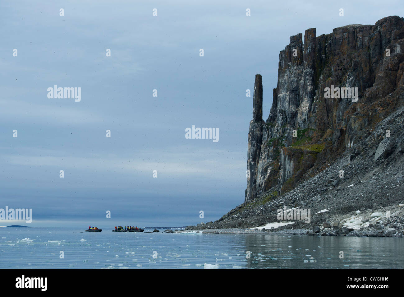 Zodiac cruise am Alkefjellet Vogel Felsen mit Brünnichs Trottellummen nisten, Uria Lomvia, Spitzbergen, Svalbard, Arktis Stockfoto