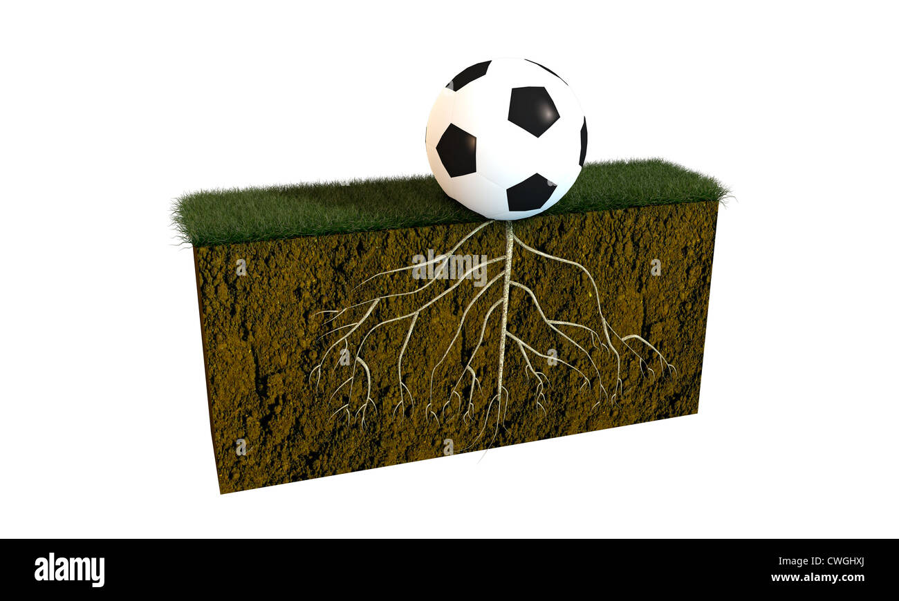 Fußball mit großen Wurzeln auf ein Fußball-Feld-Abschnitt Stockfoto