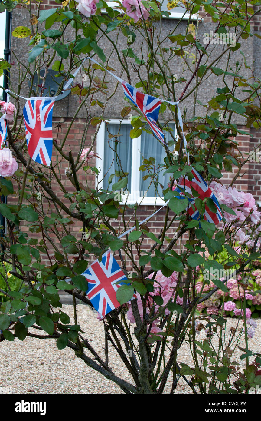 Union Jacks in einem Busch Twickenham Stockfoto