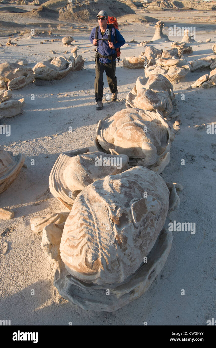 Ein Mann, Wandern Sie durch die komplexe Sandstein-Felsformationen am Bisti Badlands, Farmington, New Mexico. Stockfoto