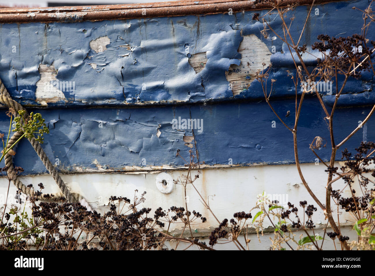 abblätternde blaue Farbe auf einem Boot Stockfoto