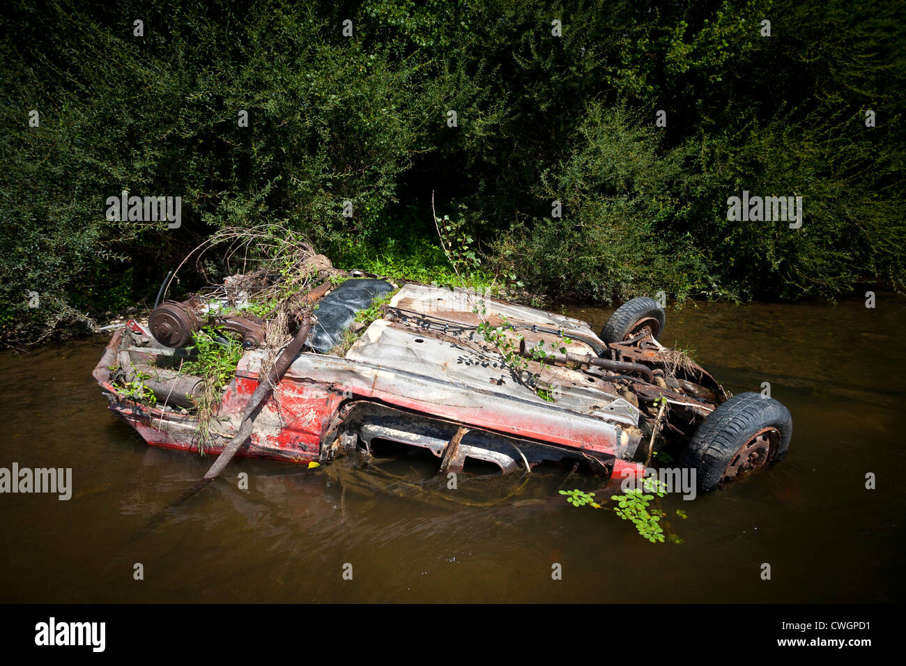 Das Wrack eines Autos in der Allier Flusses (Allier - Auvergne - Frankreich) Épave de Voiture Dans la Rivière Allier (Auvergne - Frankreich). Stockfoto