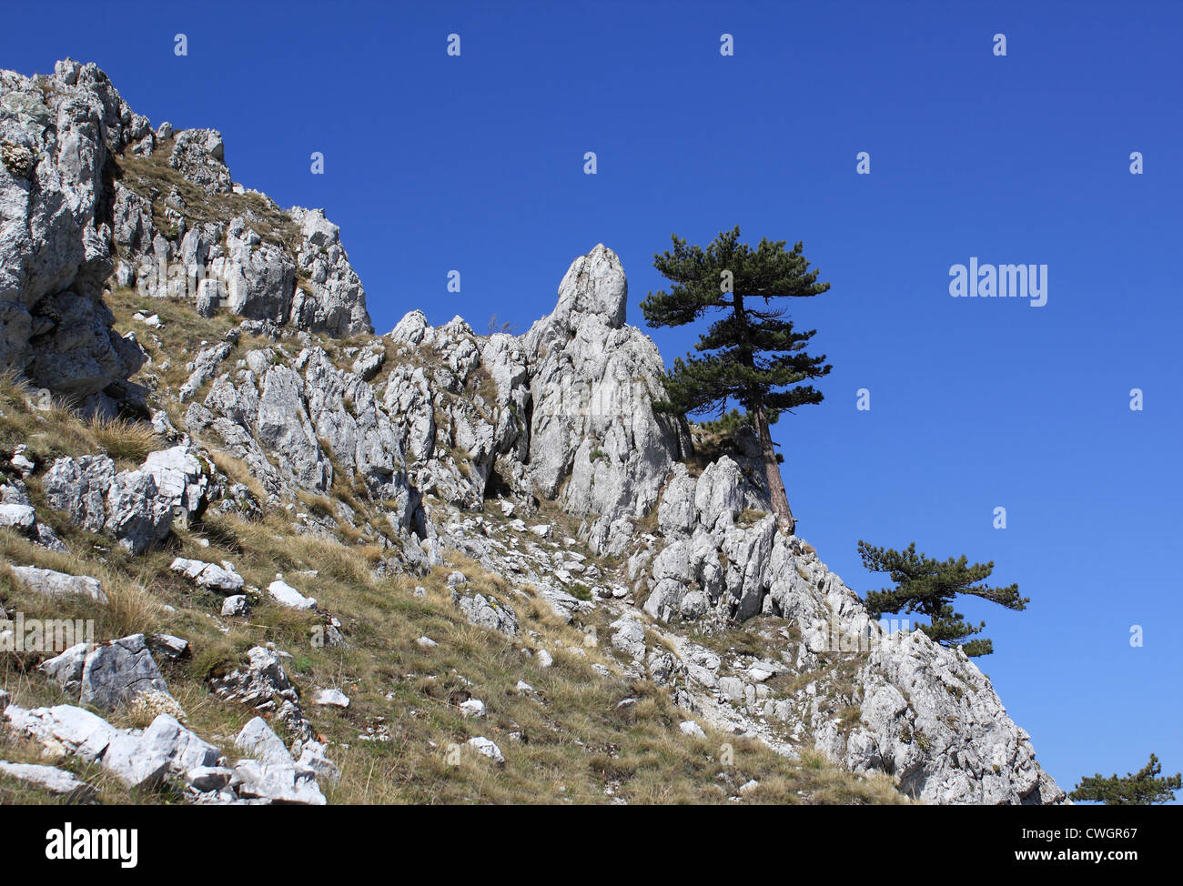 Rumänien, Karpaten, Bergwelt Stockfoto