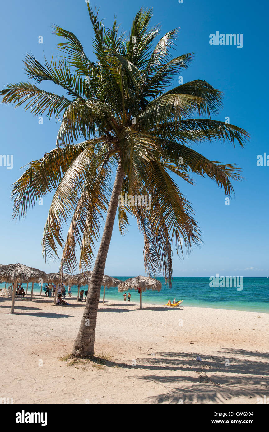 Strandschirme und Palmen, Playa Ancon Strand, Trinidad, Kuba. Stockfoto