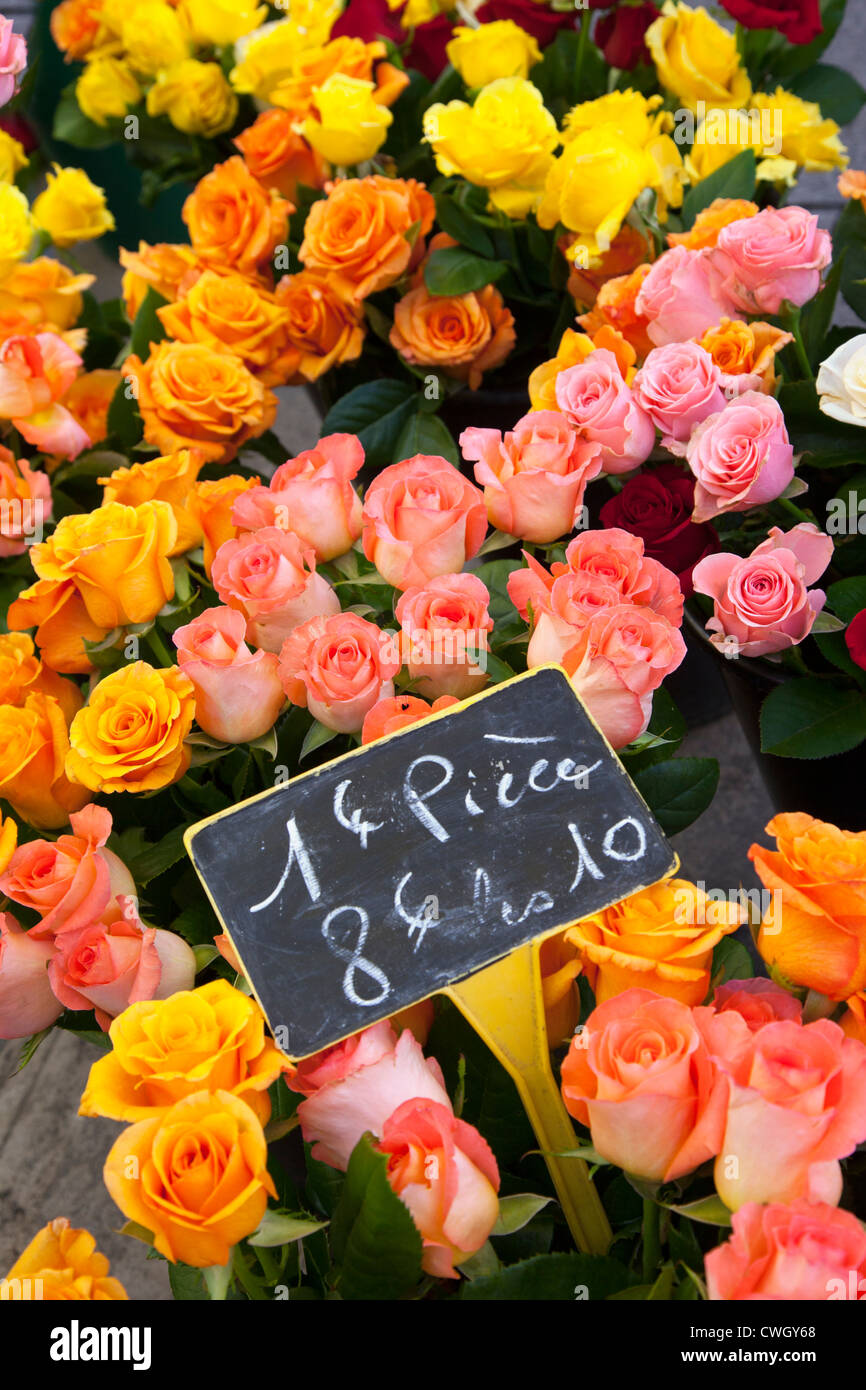 Rosen für den Verkauf am Markttag, Aix en Provence, Frankreich Stockfoto