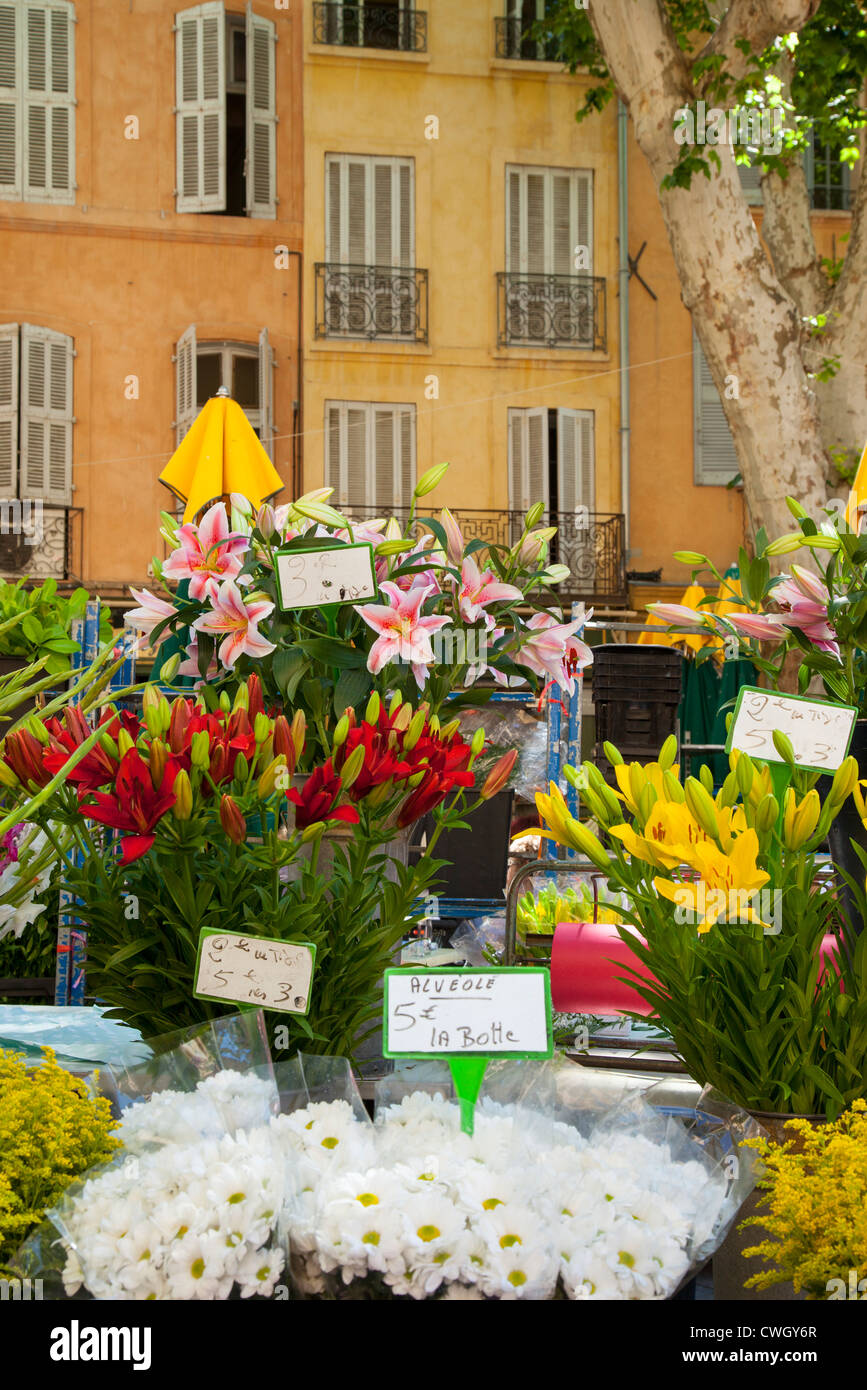 Blumen zum Verkauf am Markttag in Aix en Provence, Frankreich Stockfoto