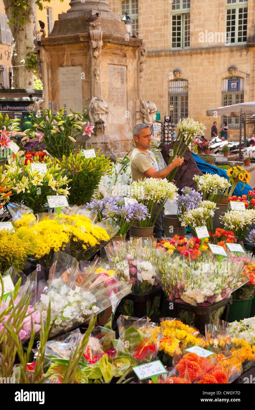 Mann, Verkauf von Blumen am Markttag in Aix en Provence, Frankreich Stockfoto