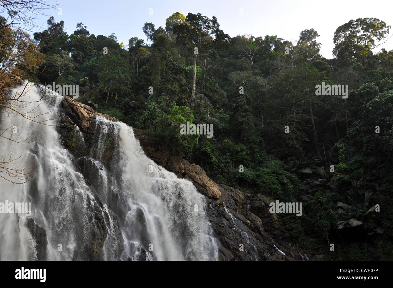 Ein Wasserfall in einem Wald in Kerala, Indien Stockfoto