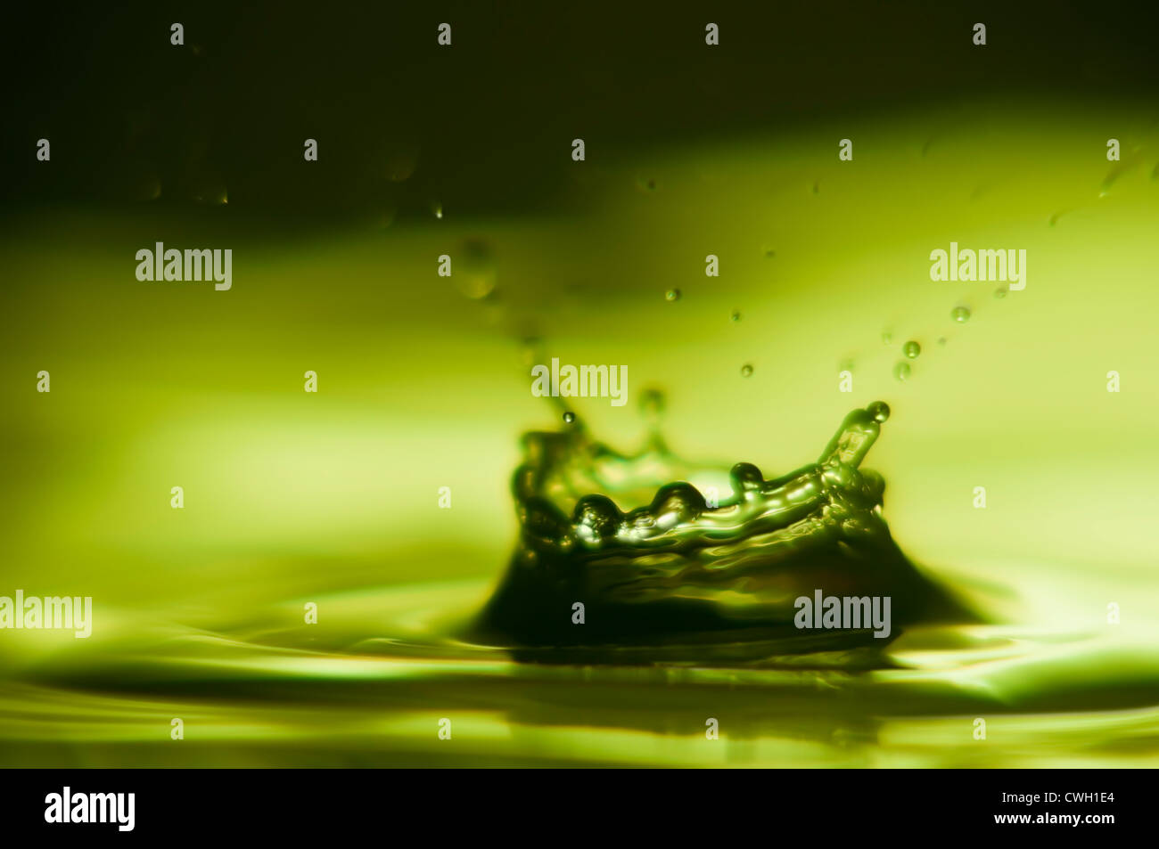 Nahaufnahme eines Wassertropfens auf grünem Hintergrund reflektiert Stockfoto