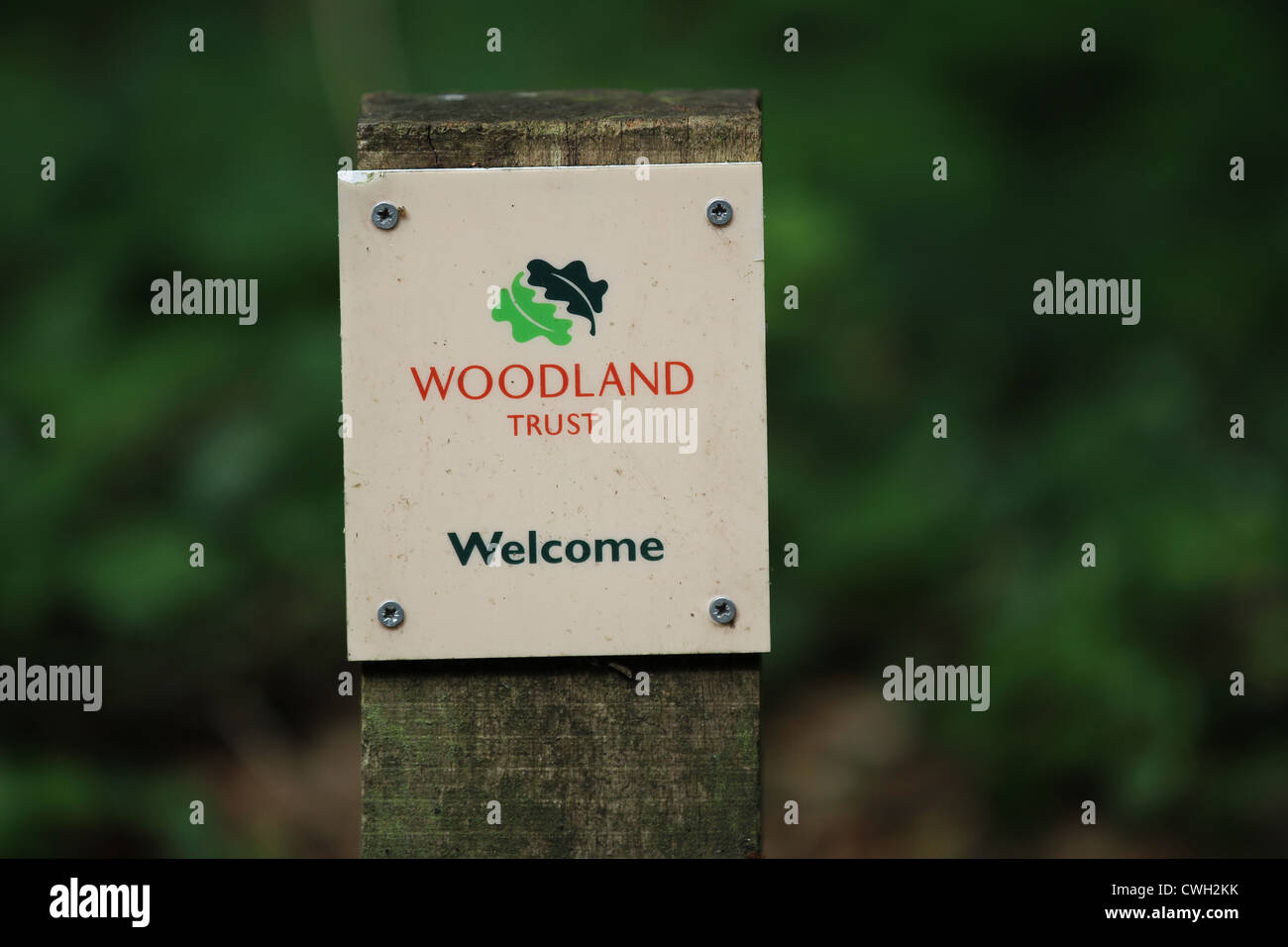 Woodland Trust zu unterzeichnen, britische Wald Schutz und die Erhaltung Stockfoto
