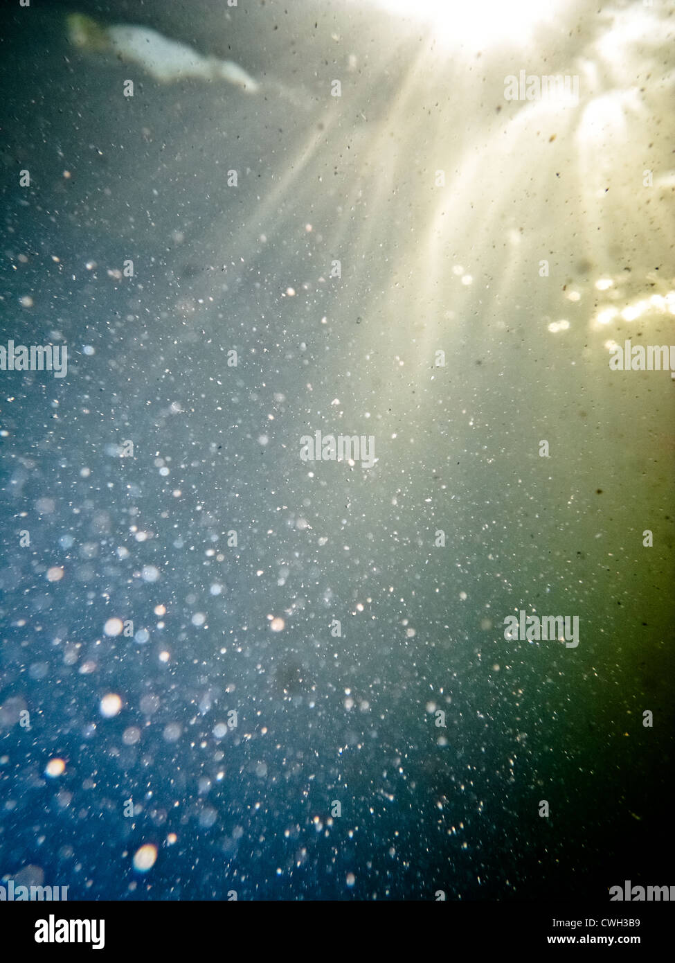 Unterwasser, bubbles, Unterwasserwelt, abstrakte Stockfoto