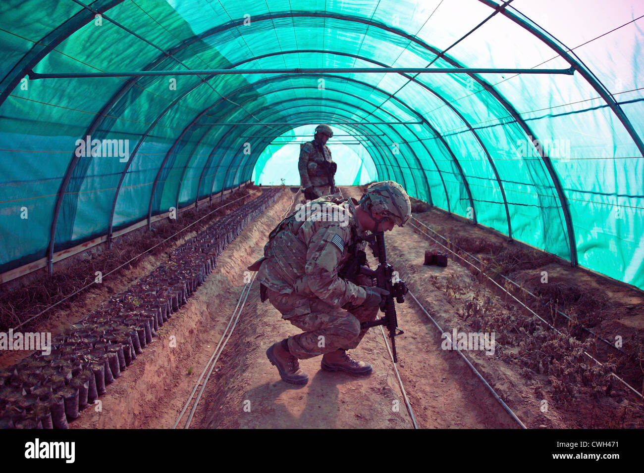 Zwei US-Soldaten inspizieren ein Gewächshaus 28. Dezember 2011 im Mahmod-e Raqi District, Provinz Kapisa in Afghanistan. Der Zweck der Mission war um sicherzustellen, dass Fortschritte in der lokalen afghanischen Anstrengungen zur Verbesserung ihrer Wachstums in der Landwirtschaft gemacht wurde. Stockfoto