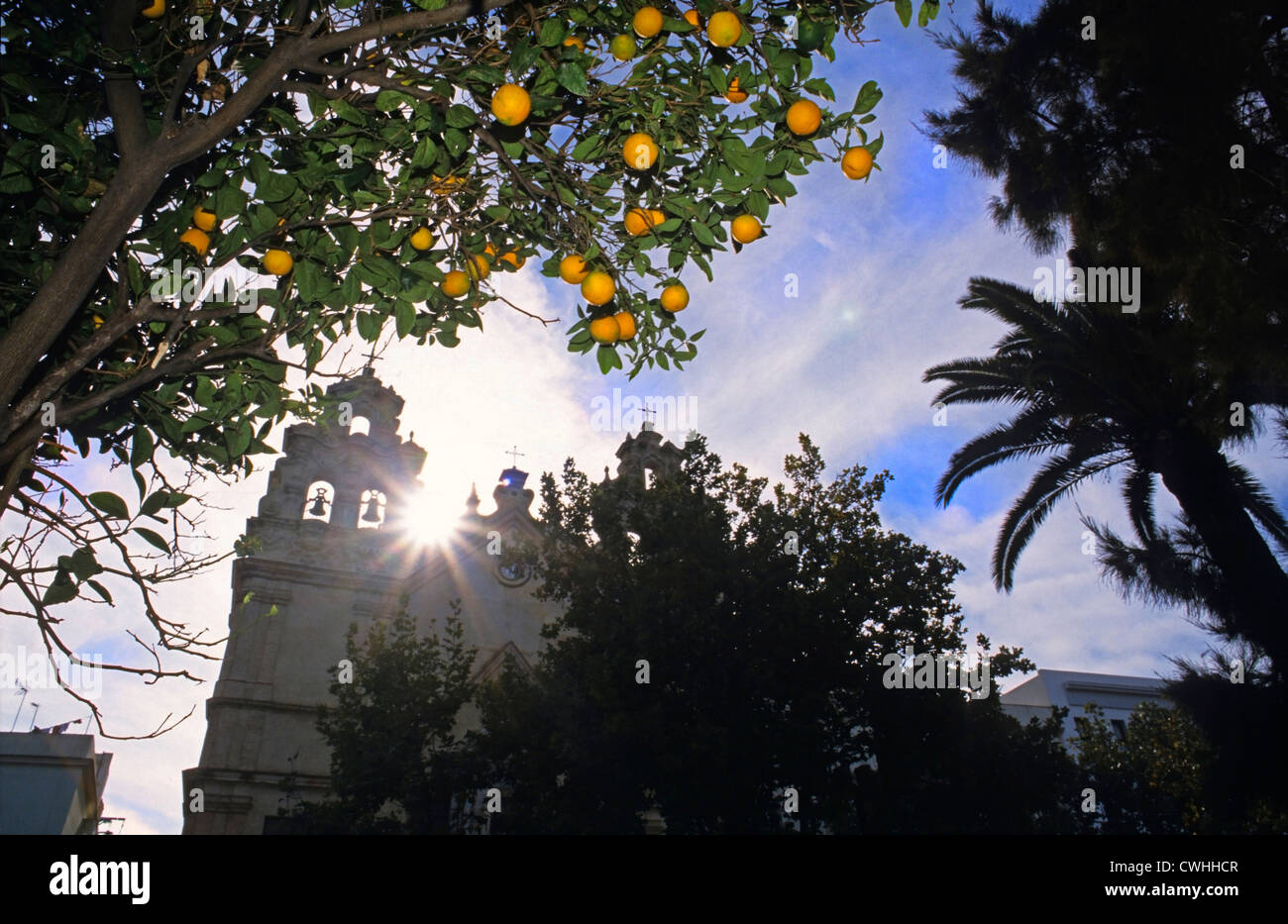 Zauberhaften Strassen von Sevilla, Orangenbäumen und Palmen gesäumt Stockfoto