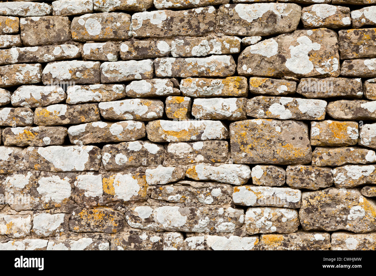 Flechten Sie auf einer Trockensteinmauer in Cotswold Dorf von Great Barrington, Gloucestershire, UK Stockfoto
