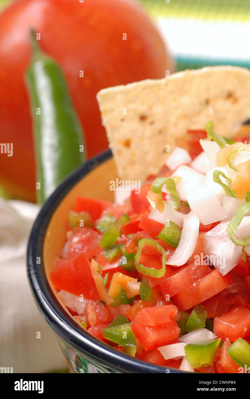 Frische würzige Salsa mit Tortilla-Chips zusammen mit den Zutaten für die salsa Stockfoto