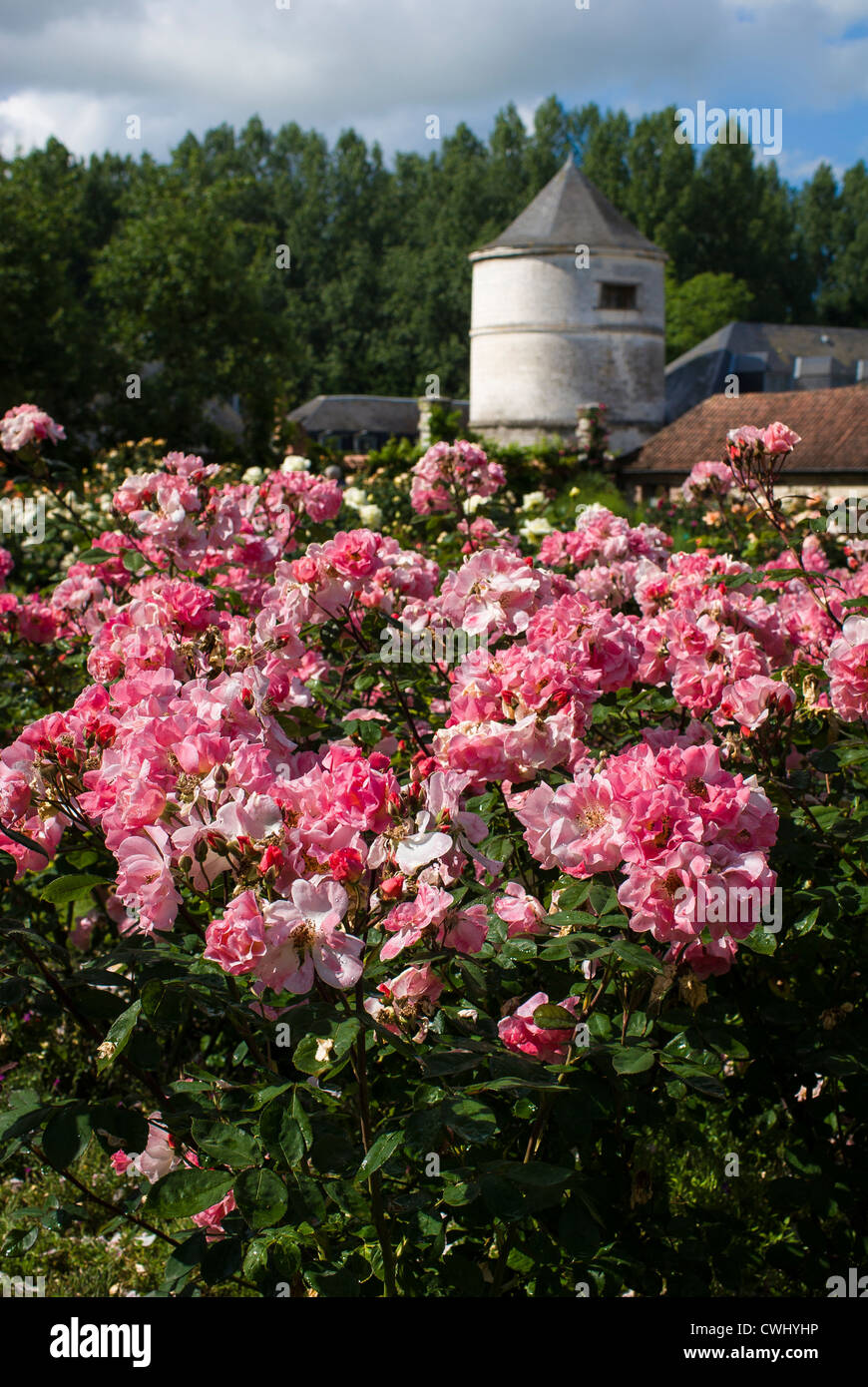 Les jardins de valloires Fotos und Bildmaterial in hoher Auflösung