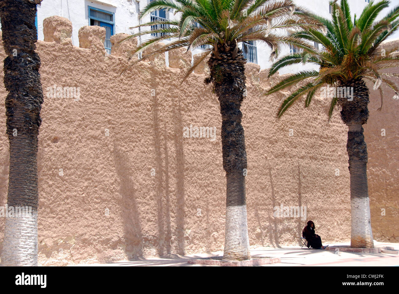 Mauer der Medina von Essaouira mit Palmen und einfarmiger Gestalt; Marokko Stockfoto