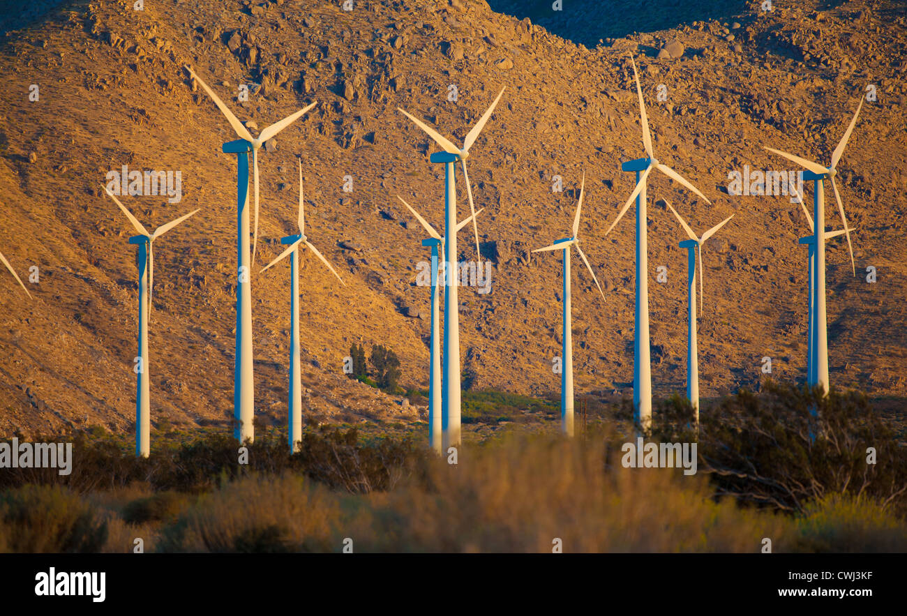 Eine Gruppe von Turbinen/Windmühlen in der Wüste Stockfoto