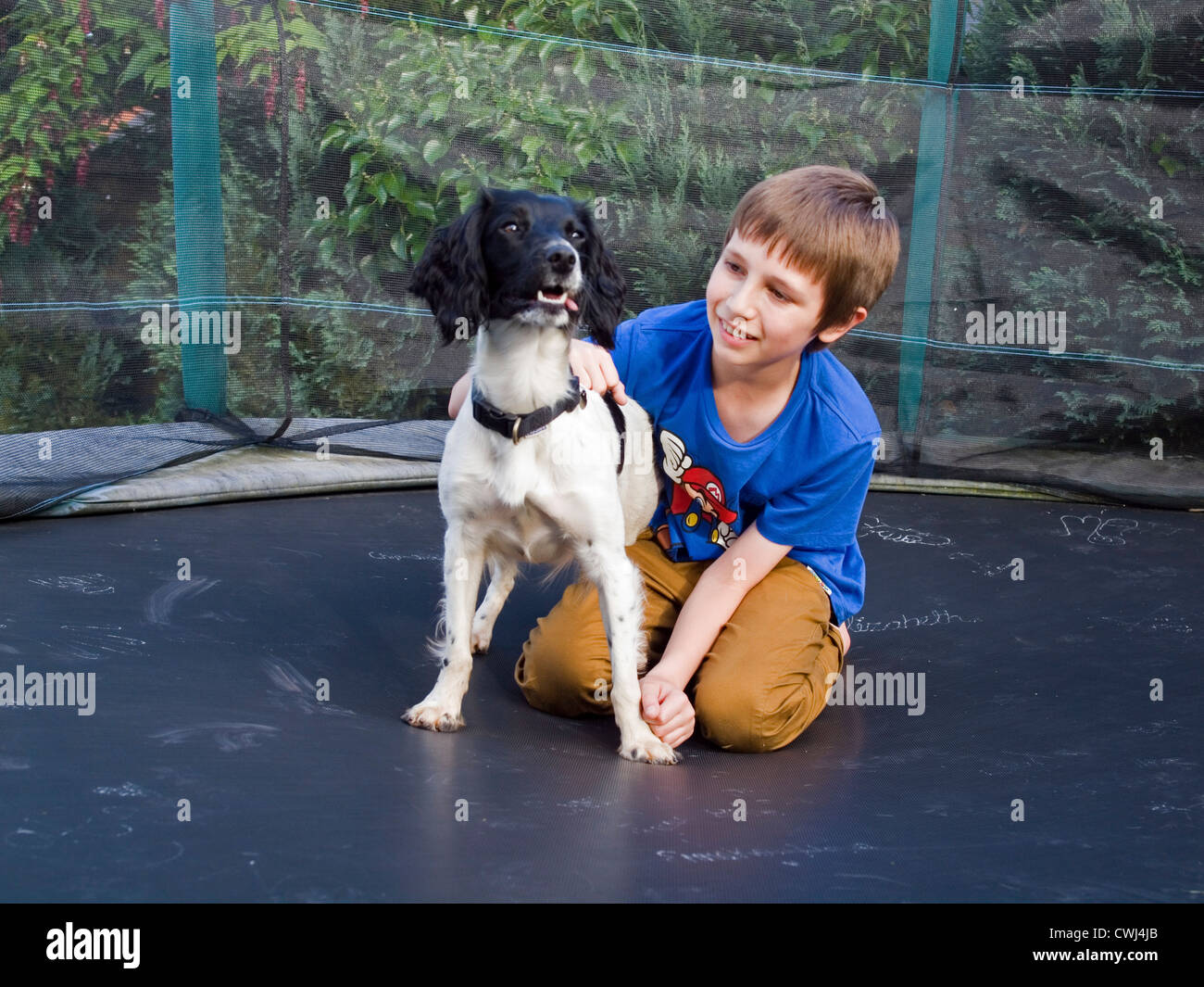 Junge mit Hund Stockfoto