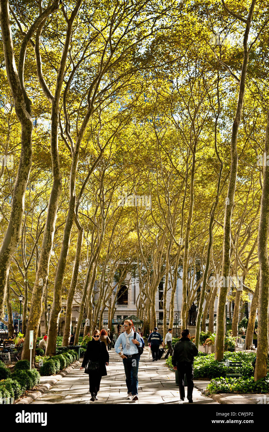 Promenade im Bryant Park, London Platanen, Platanus Acerifolia, im Herbst, Midtown Manhattan, New York City Stockfoto