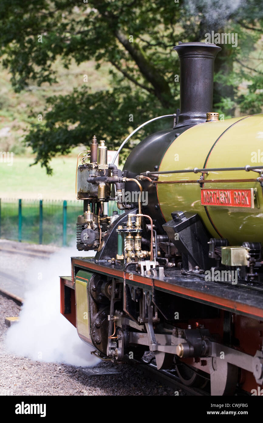 Dampfzug auf der Boot, Ravenglass Schmalspurbahn. Stockfoto