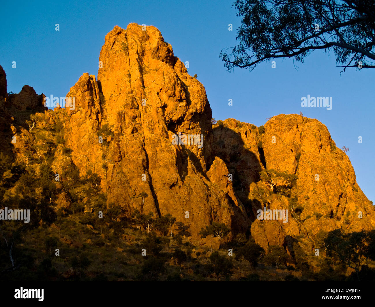 Trephina, Zentral-Australien, Northern Territory Stockfoto