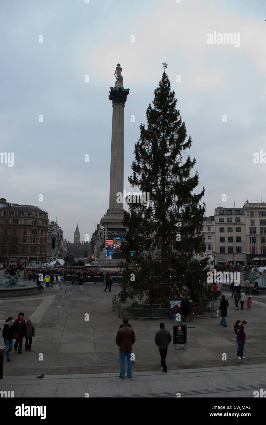 Weihnachtsbaum auf dem Trafalgar Square mit der Nelson Säule Stockfoto