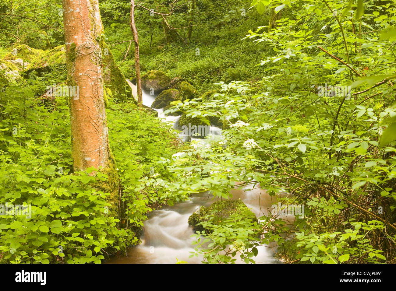 Die Gorges de Narvau in der Morvan Gegend Frankreichs. Stockfoto