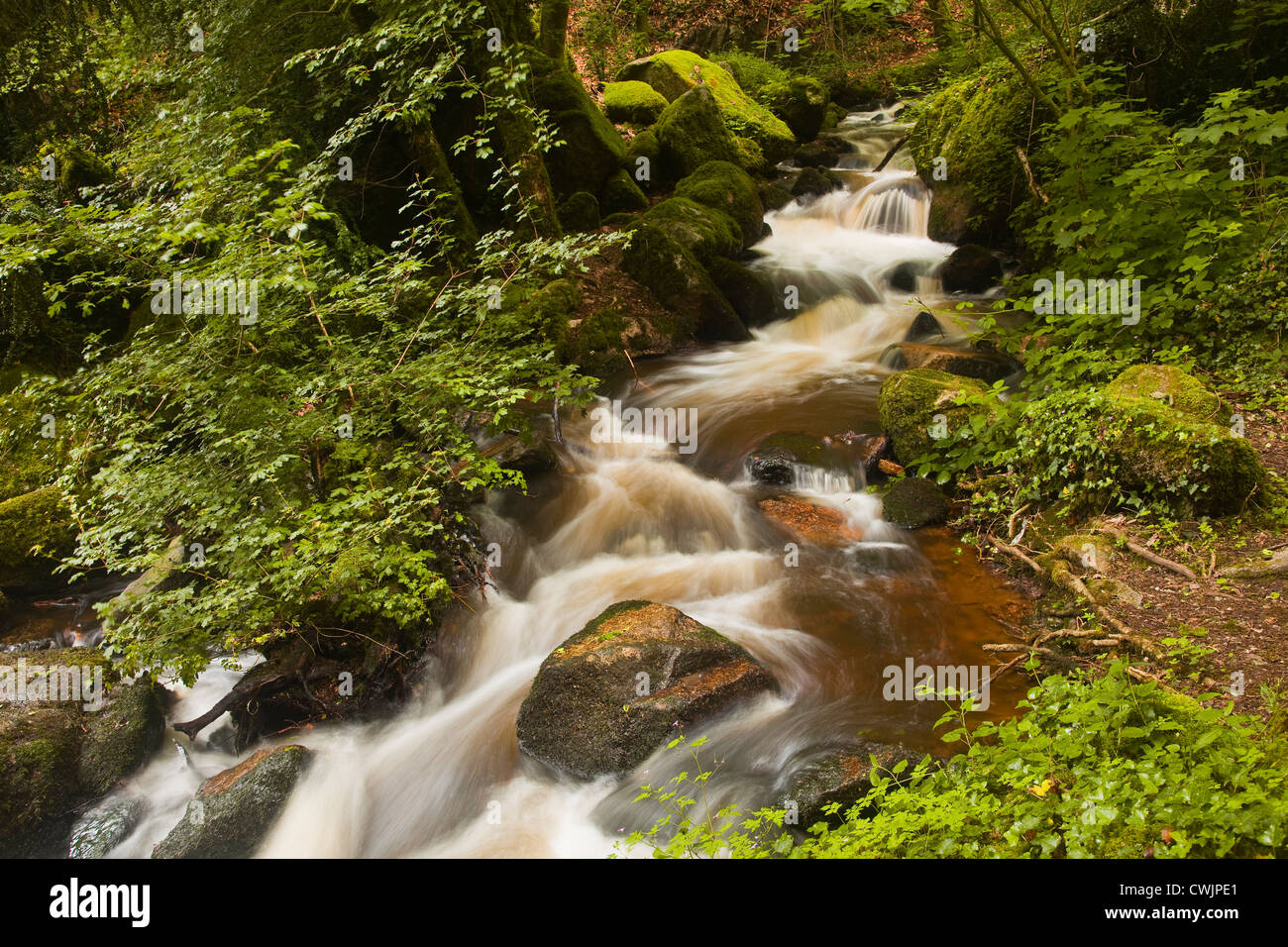 Die Gorges de Narvau in der Morvan Gegend Frankreichs. Stockfoto