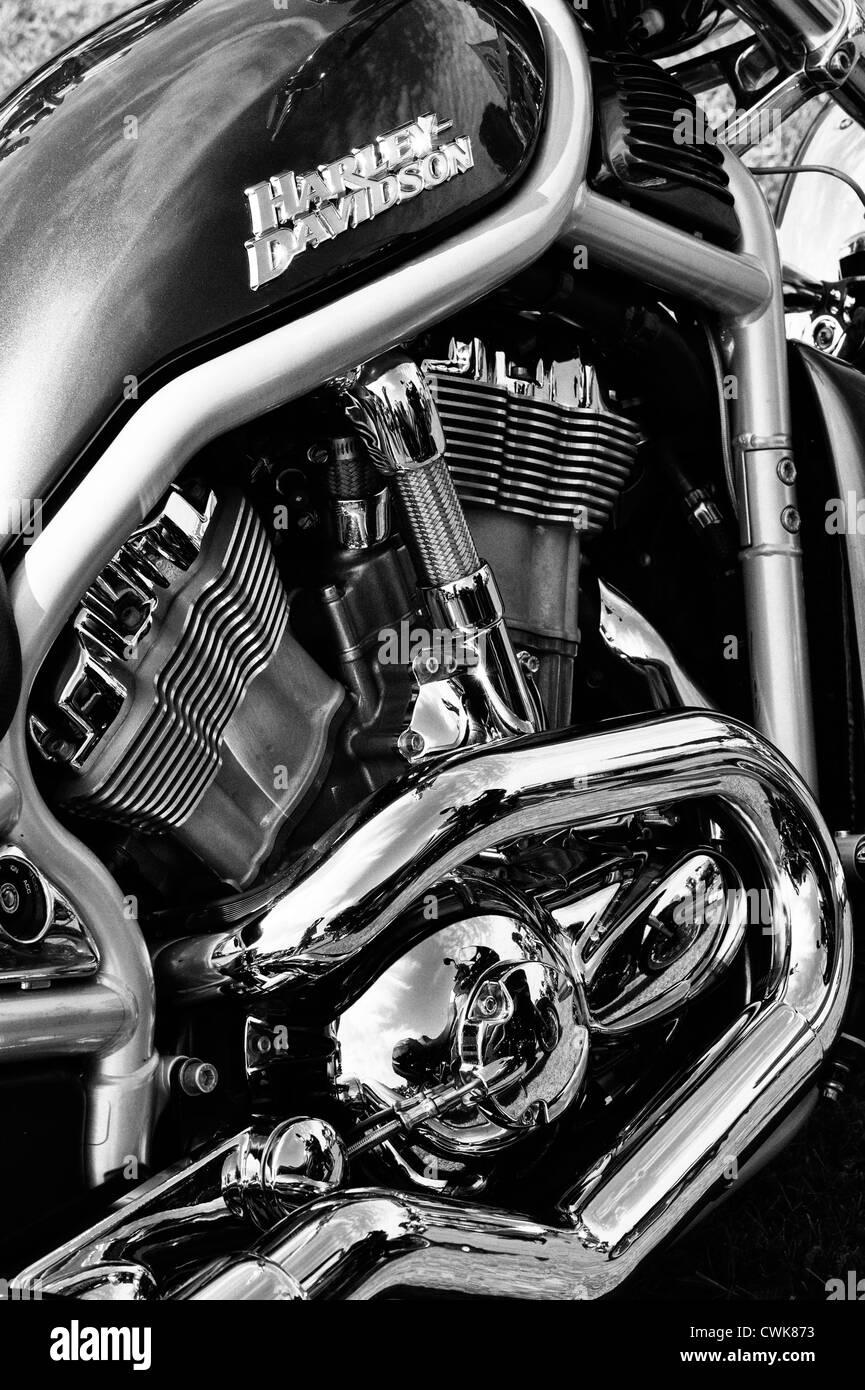 Harley Davidson V-Rod-Motorrad. Monochrom Stockfoto