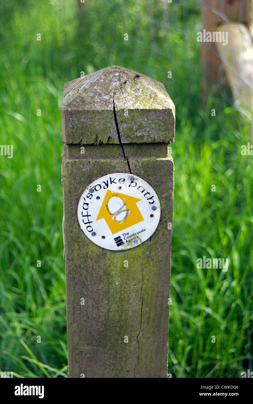 Wanderweg-Zeichen für Offa es Dyke Stockfoto