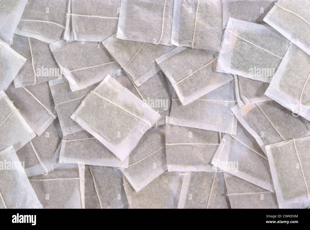 Teebeutel-Hintergrund. Weiße Teebeutel mit weißem Garn um sie herum in Unordnung Stockfoto
