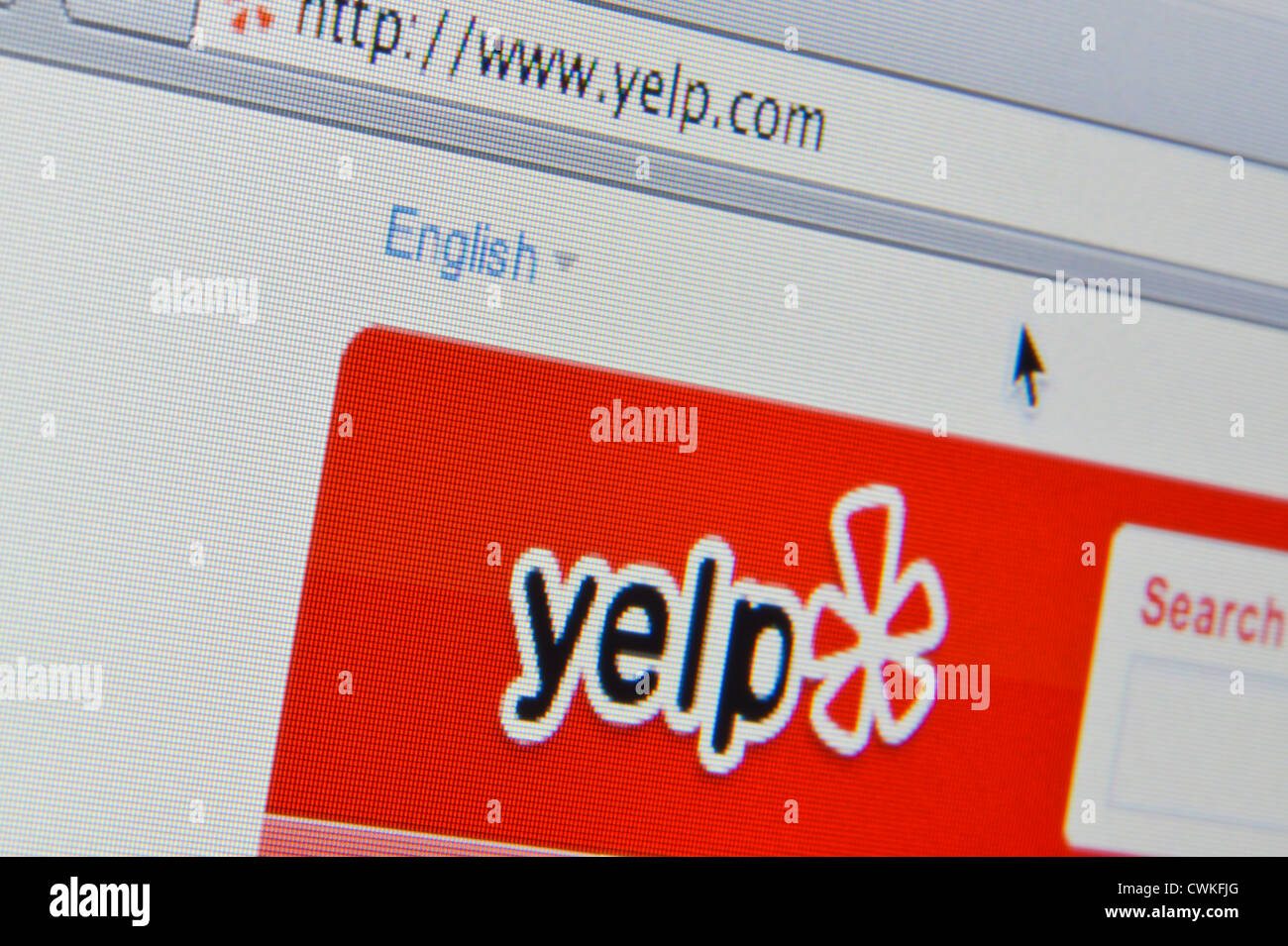 Nahaufnahme von der Yelp-Logo auf ihrer Website gesehen. (Nur zur redaktionellen Verwendung: print, TV, e-Book und redaktionelle Webseite). Stockfoto