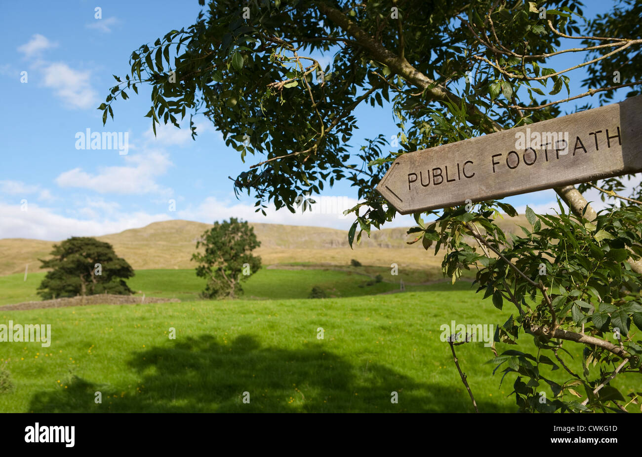 Outhgill Bauernhof Landschaft in der Nähe von Mallerstang Tal in Kirkby Stephen, East Cumbria, UK Stockfoto