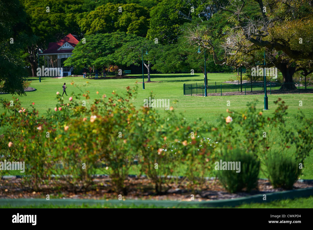 Neue Farm Park, Brisbane Queensland Australien Stockfoto