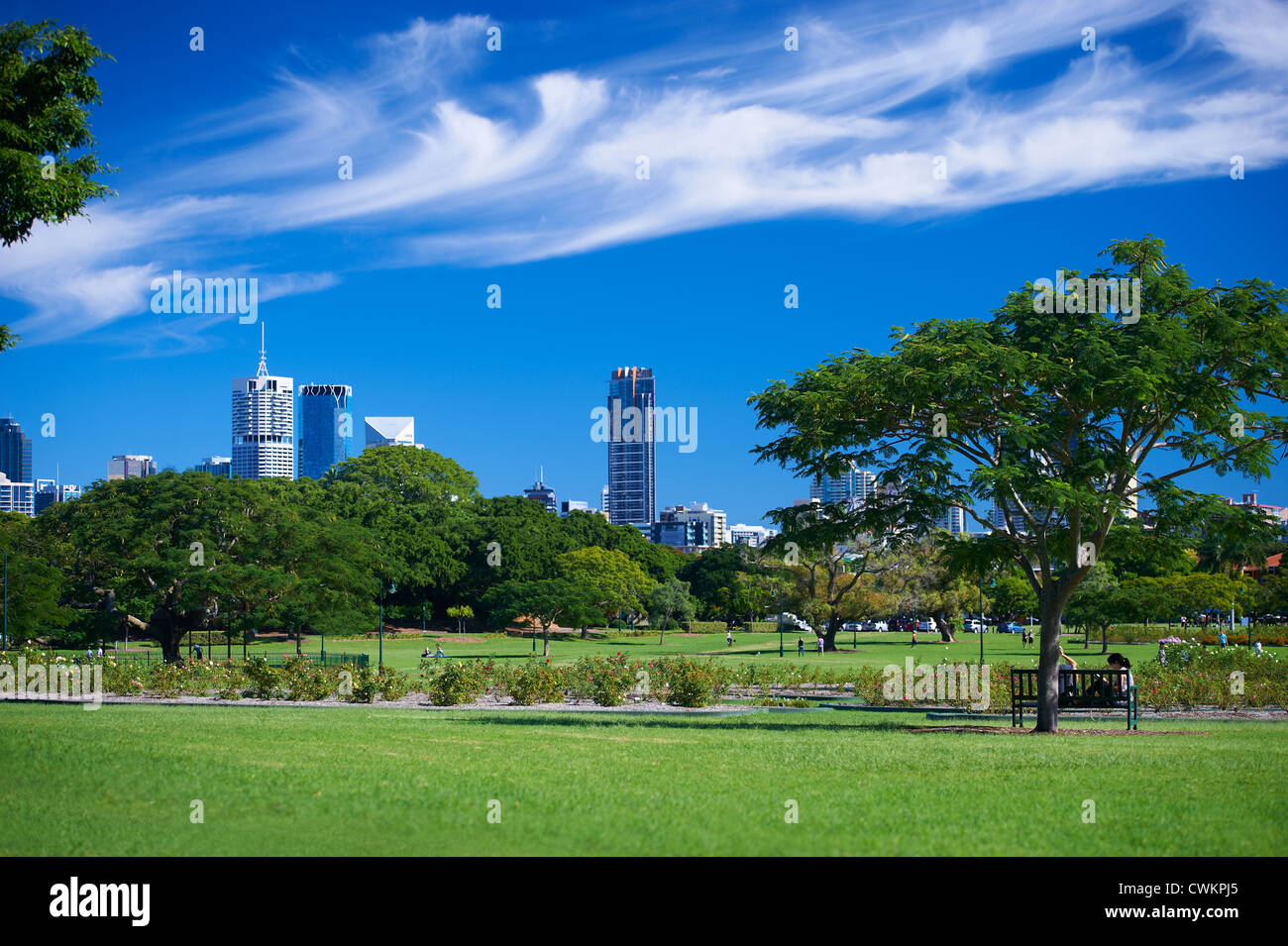 Neue Farm Park, Brisbane Queensland Australien Stockfoto